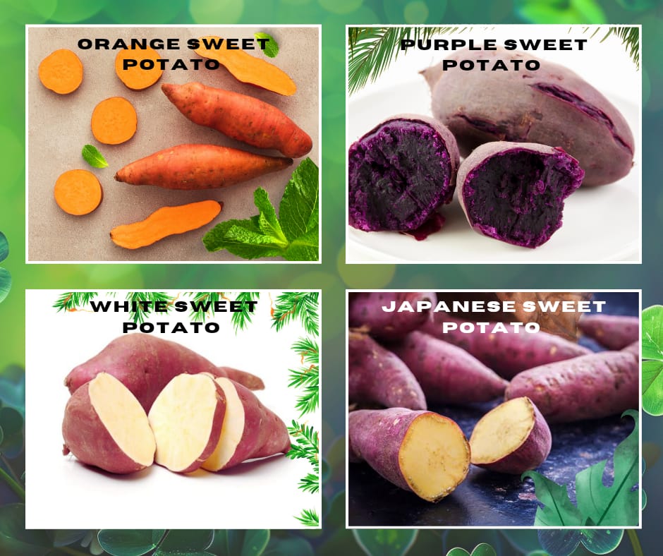 Sweet Potatoes - Healthy Superfood